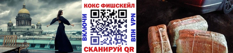 Купить закладки  Рошаль  Cocaine Fish Scale 