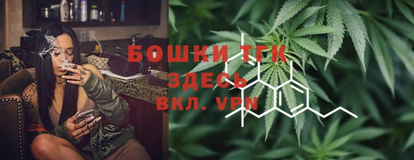 ешки Бородино