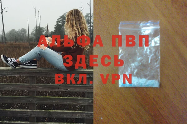 ECSTASY Бронницы