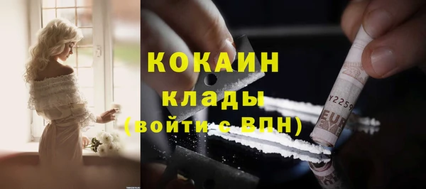 ешки Бородино
