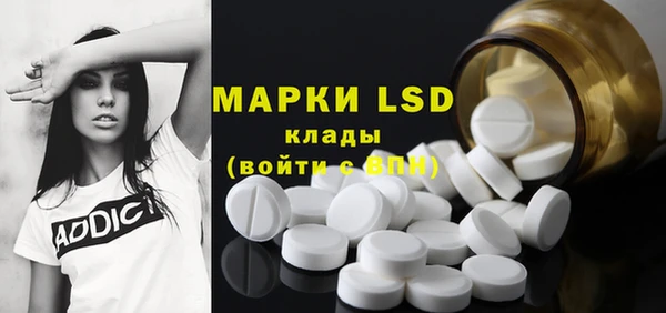 ешки Бородино