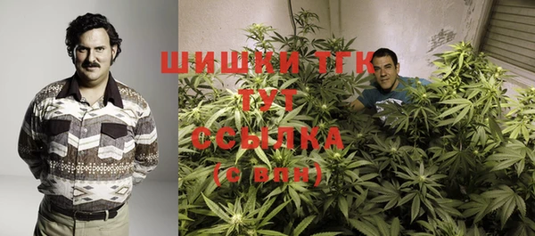 ешки Бородино