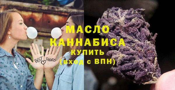 ешки Бородино