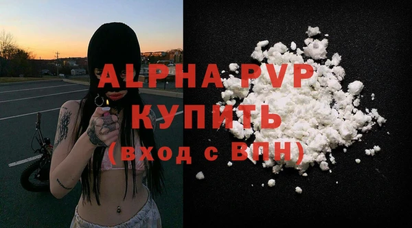 ешки Бородино