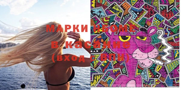 ешки Бородино