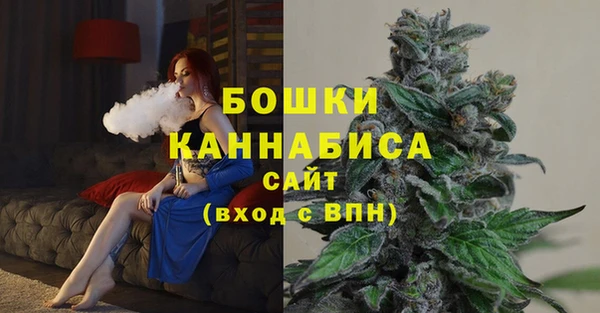 ешки Бородино