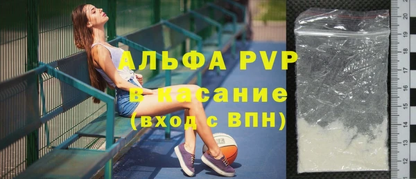 ешки Бородино