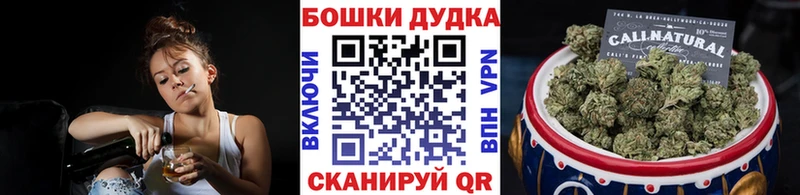 Конопля сатива Рошаль